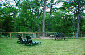 BLee/Grassydeck.JPG